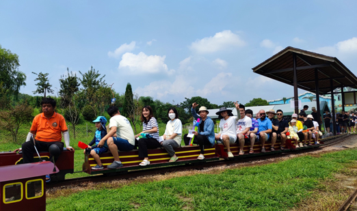 �齫����ģ����pg����-�齫����ģ����pg����2025���°汾